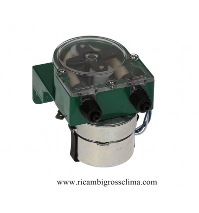 Buy Online Dosing Pump Germac G300 Detergent For Glasswashers From Fagor - 3090174 on GROSSCLIMA
