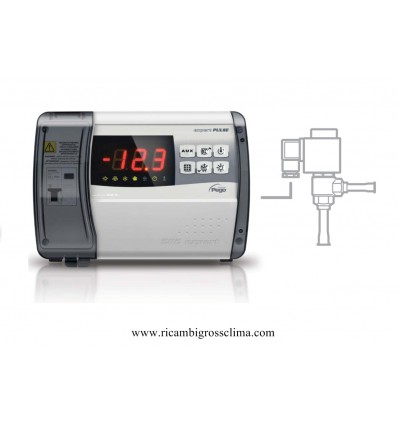 Buy Online Control panel single-phase ECP 200 EXPERT PULSE with the electronic expansion valve pulse on GROSSCLIMA