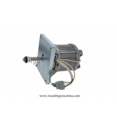 Compra Online Motore HANNING L9FGW4D-607 con ventola per Forno CONVOTHERM - 