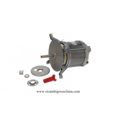 Buy Online Motor HANNING L9ZW84D-394 with fan for Oven RATIONAL on GROSSCLIMA
