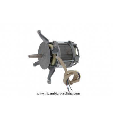 Buy Online Motor HANNING L7RW84D-208 with fan for Oven RATIONAL on GROSSCLIMA