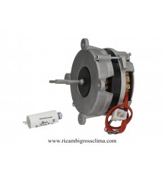 Buy Online Engine FIR 3012.2352 with fan for Oven lainox answers your on GROSSCLIMA