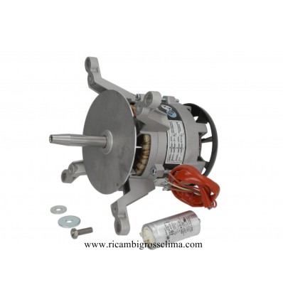 Compra Online Motore 1020A2353 per Forno ZANOLLI - 