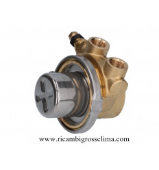 Насос ROTOFLOW ø 3/8" GAS/BSP 50 л/ч 2