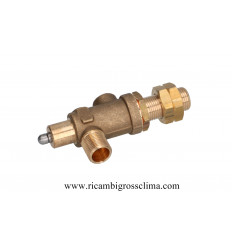 01.00489 CARIMALI Steam valve
