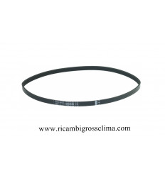 Cinturón multigrip PJ 762 H12 4 RANURAS