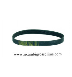 Cinturón multigrip J 483 H19 7 RANURAS
