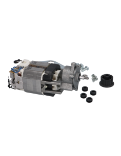 0D3409 DITO ELECTROLUX Motor Completo 230V 50Hz 2