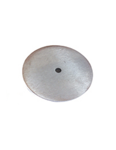 A254010 CAPIC Disc Plate ø 235 mm