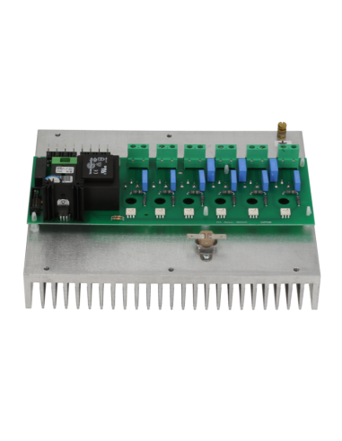 91310305 CUPPONE Electronic Power Board 250x200 mm