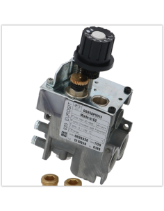 LA VANNE DE GAZ EUROSIT...