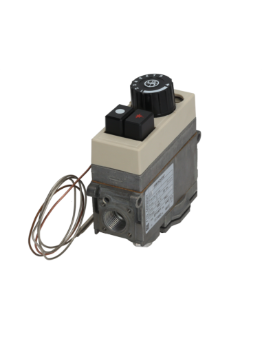 Valve Gaz Type Série 630 Eurosit-Plage 100-340°C, Entrée et Sortie Gaz