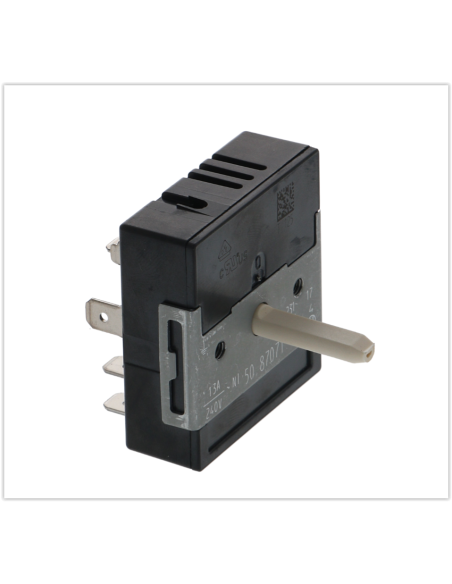 5087071000 EGO Energy Regulator