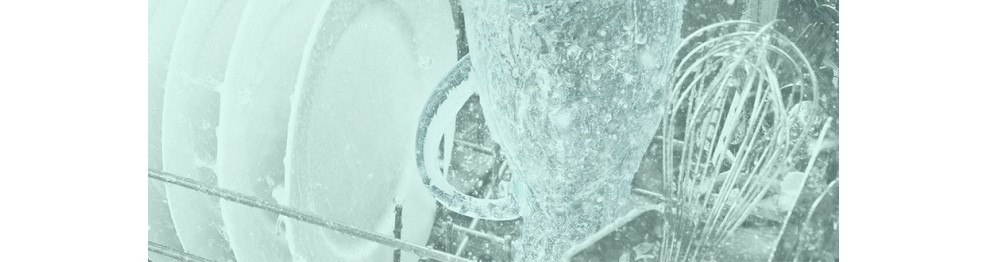 Whirlpool Geschirrspüler Tab Fach & Klarspüler (Dosiereinheit