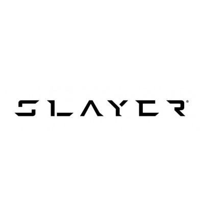SLAYER 